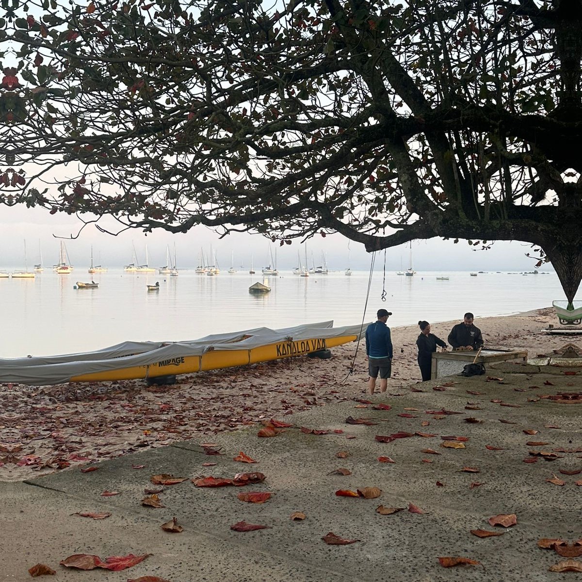 Imagem do clube Kanaloa Va'a - Santo Antônio de Lisboa